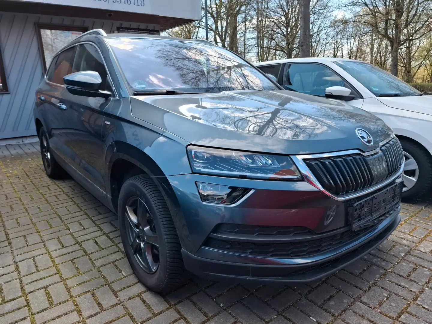 Skoda Karoq Gris - 1