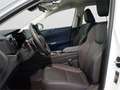 Lexus NX 450h+ Executive 4WD - thumbnail 15