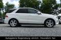 Mercedes-Benz ML 350 CDI *AMG-LINE*PANORAMA*AHK*NAVI*TEMPOMAT* Blanc - thumbnail 5