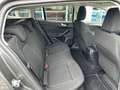 Ford Focus 1.0 EcoBoost mHEV 125ch Titanium X Business Grau - thumbnail 14