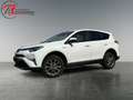 Toyota RAV 4 2.5 4x2 Hybrid Edition S+ Blanc - thumbnail 1