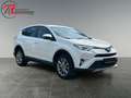 Toyota RAV 4 2.5 4x2 Hybrid Edition S+ Blanc - thumbnail 7