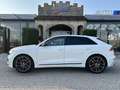 Audi Q8 50 TDI Quattro Tiptronic/*3xS-LINE*/AHK/RFK/SHZ... Weiß - thumbnail 5