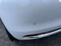 Fiat 500 0.9 TwinAir Turbo Collezione Pano Cruise Pdc App N Weiß - thumbnail 14