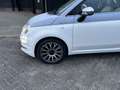 Fiat 500 0.9 TwinAir Turbo Collezione Pano Cruise Pdc App N Weiß - thumbnail 16