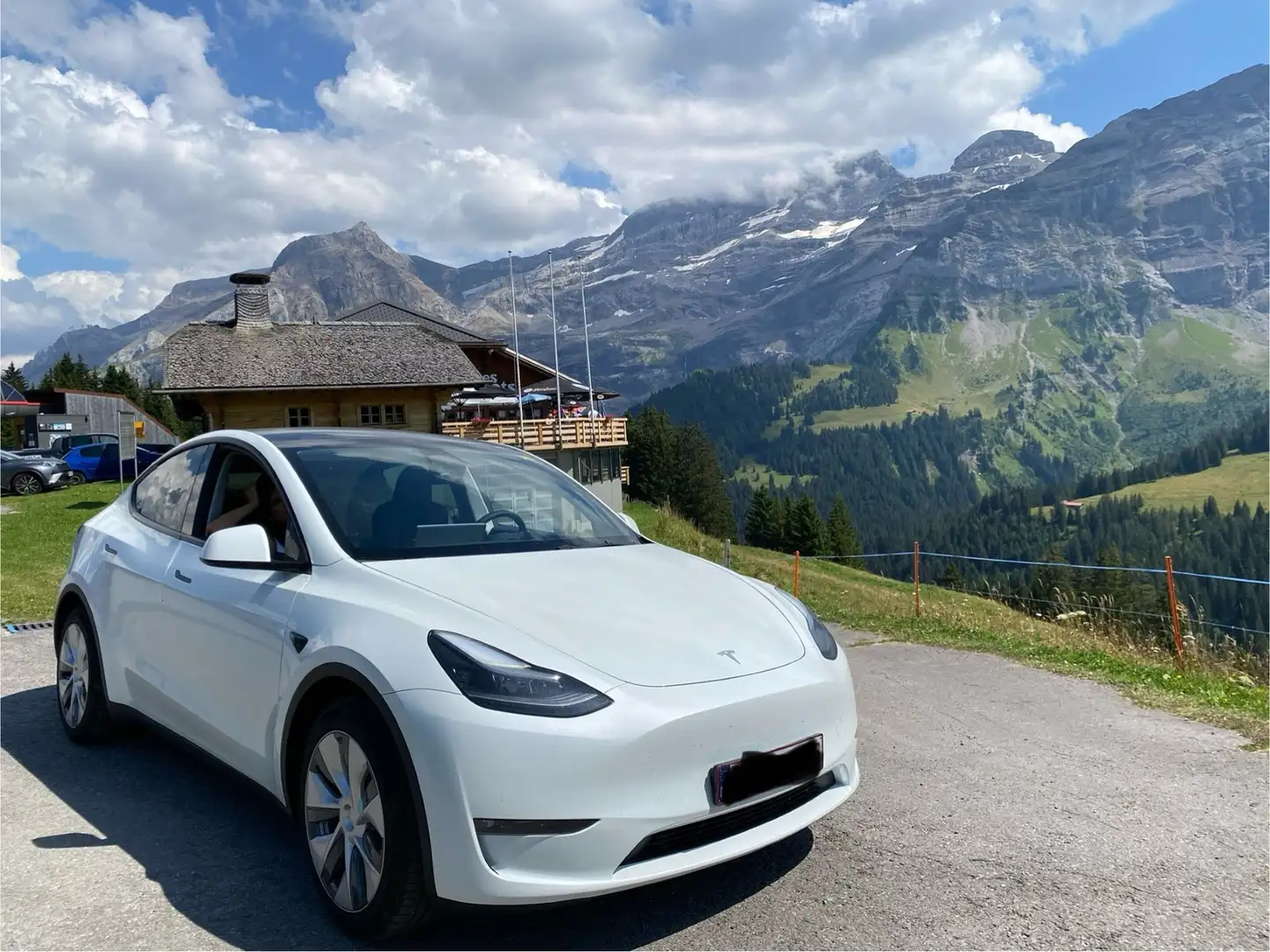 Tesla Model Y AWD Dual Motor Long Range Белый - 1