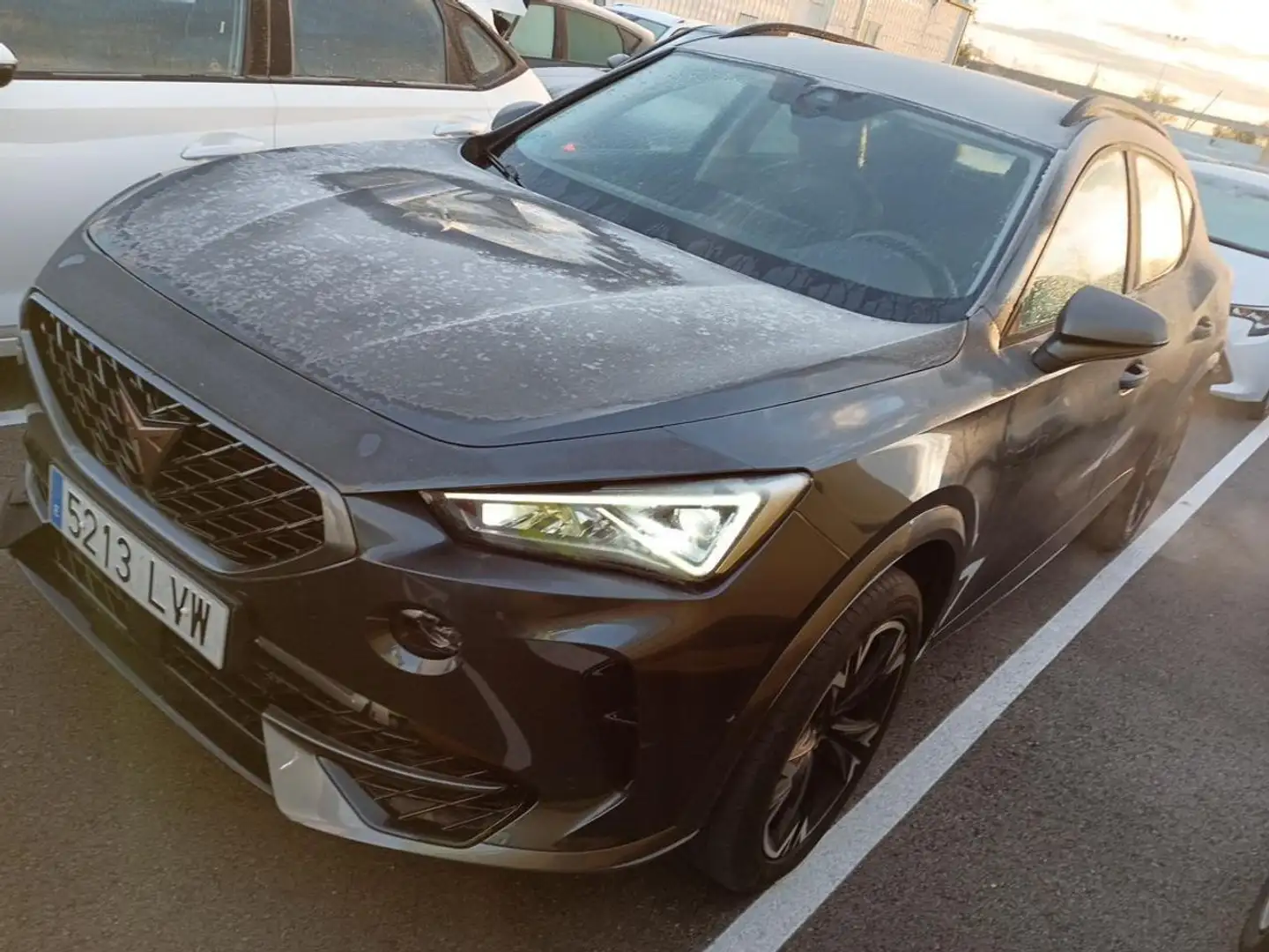 CUPRA Formentor 2.0 TDI 150 Gris - 1