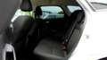 Ford Focus Turnier 1.5 Ecoboost - Facelift - Business Paket - Silber - thumbnail 12