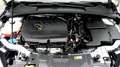 Ford Focus Turnier 1.5 Ecoboost - Facelift - Business Paket - Silber - thumbnail 21
