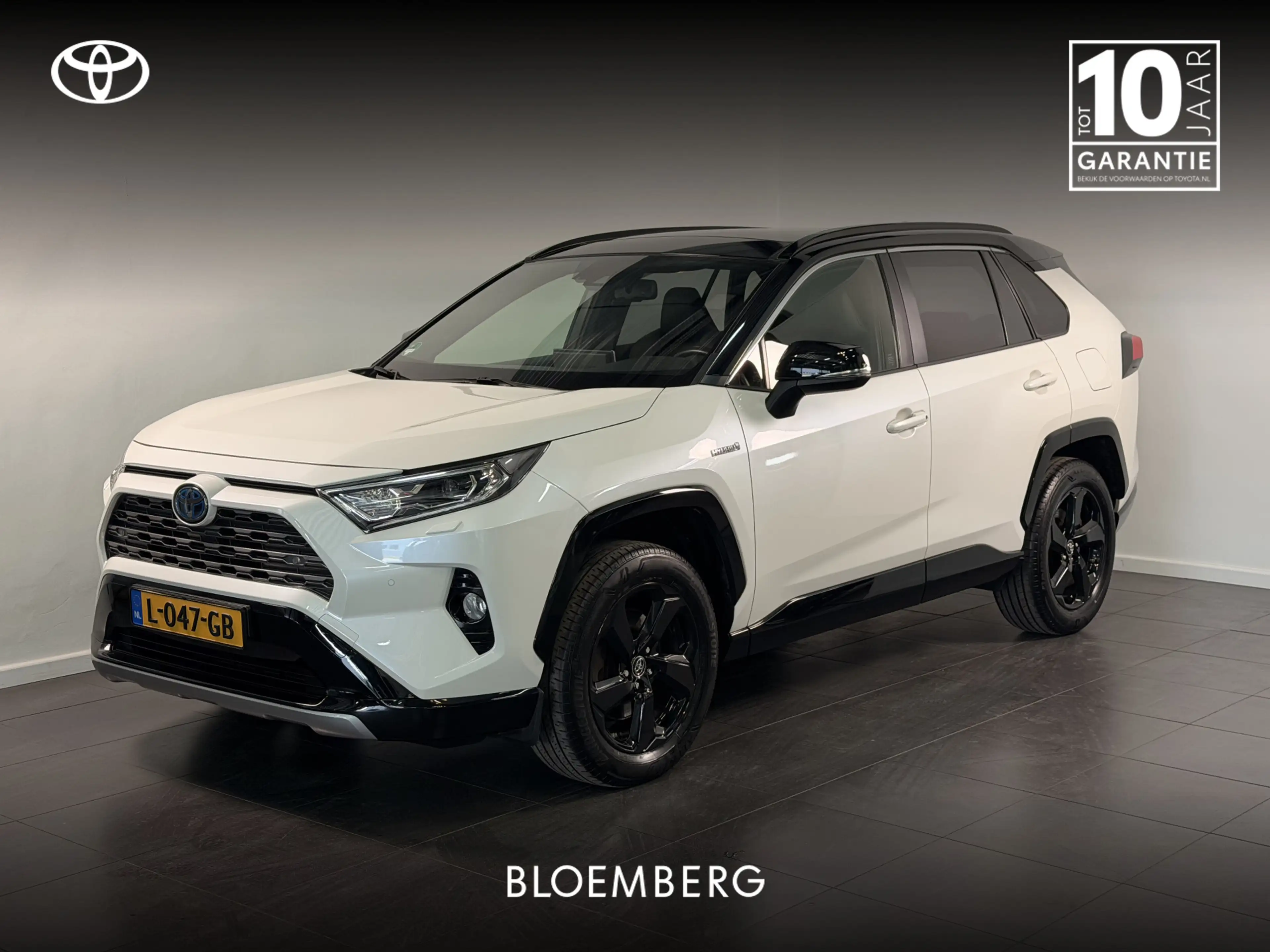 Toyota RAV 4 2.5 Hybrid Bi-Tone | Schuif - / kanteldak | Trekha