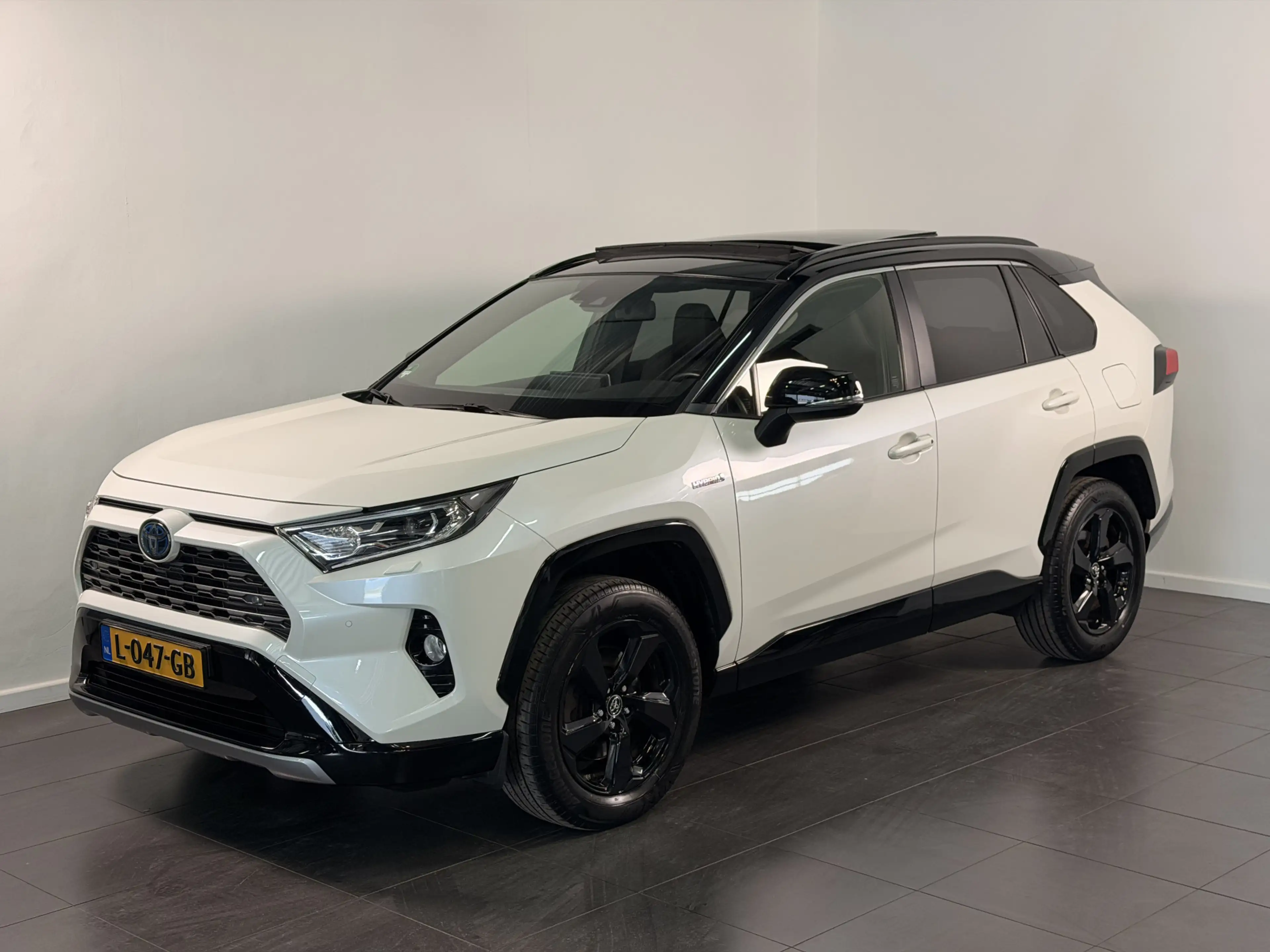 Toyota RAV 4 2.5 Hybrid Bi-Tone | Schuif - / kanteldak | Trekha — photo 12