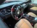 Ford Mustang Mustang .Shelby GT 500 B.M.77000KM. Mauve - thumbnail 11