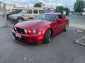 Ford Mustang Mustang .Shelby GT 500 B.M.77000KM. Mauve - thumbnail 5