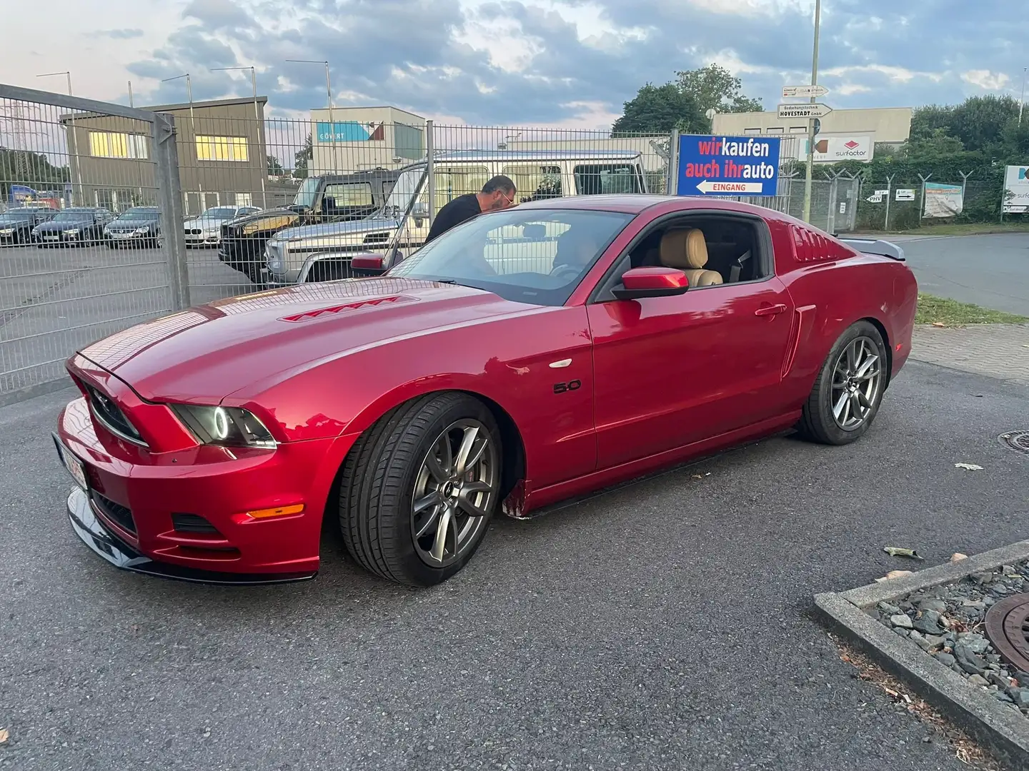 Ford Mustang Mustang .Shelby GT 500 B.M.77000KM. Mauve - 1