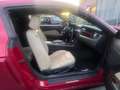 Ford Mustang Mustang .Shelby GT 500 B.M.77000KM. Mauve - thumbnail 7