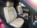 Ford Mustang Mustang .Shelby GT 500 B.M.77000KM. Mauve - thumbnail 4
