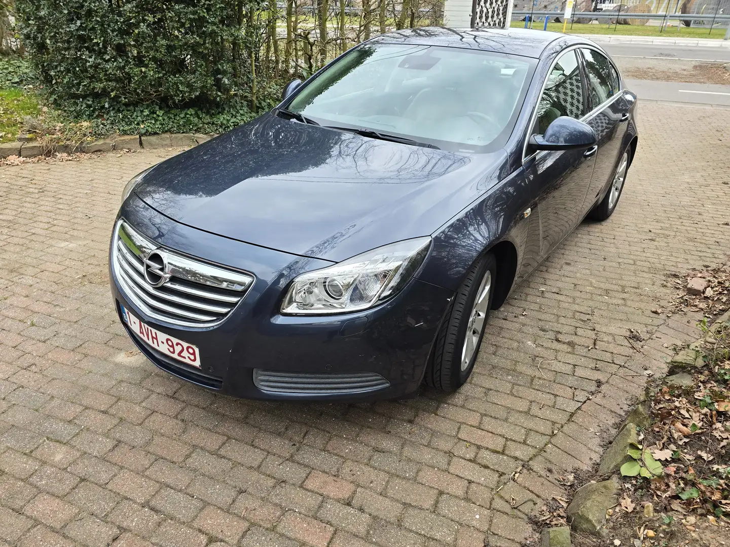 Opel Insignia Insignia 2.0 CDTI ecoflex Selection Blauw - 2