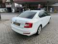 Skoda Octavia Lim. Joy Weiß - thumbnail 5