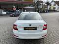 Skoda Octavia Lim. Joy Weiß - thumbnail 4