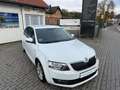 Skoda Octavia Lim. Joy Weiß - thumbnail 2