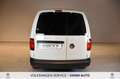 Volkswagen Caddy 2.0 TDI Furgone Business IVA ESCLUSA Bianco - thumbnail 6
