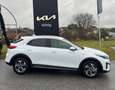 Kia XCeed Xceed 1,0 TGDI GPF Silber Silber Weiß - thumbnail 1