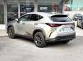 Lexus NX 300 350h 2.5 Premium 4WD 244CV E-CVT - 2022 Gris - thumbnail 4