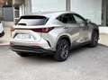 Lexus NX 300 350h 2.5 Premium 4WD 244CV E-CVT - 2022 Gris - thumbnail 5