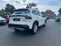 Suzuki S-Cross Comfort /Alletter/SHZ/Car-Play Weiß - thumbnail 4