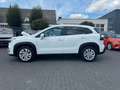 Suzuki S-Cross Comfort /Alletter/SHZ/Car-Play Weiß - thumbnail 7
