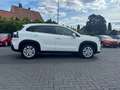 Suzuki S-Cross Comfort /Alletter/SHZ/Car-Play Weiß - thumbnail 3