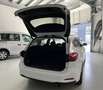 Ford Focus Titanium X / FACELIFT / NAVI / KAMERA Weiß - thumbnail 7
