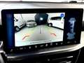 Ford Focus Titanium X / FACELIFT / NAVI / KAMERA Weiß - thumbnail 17