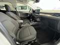 Ford Focus Titanium X / FACELIFT / NAVI / KAMERA Weiß - thumbnail 10