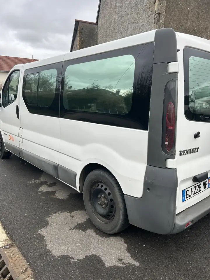 Renault Trafic FGN L2H2 1200 KG 1.9 dCi 100