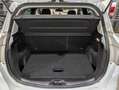 Ford B-Max 1.0 100CV ECOBOOST TITANIUM "NEOPATENTATI" Blanco - thumbnail 17