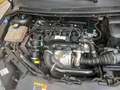 Ford Focus 1.6 TDCi (90CV) S.W.  NEOPATENTATI Grigio - thumbnail 27