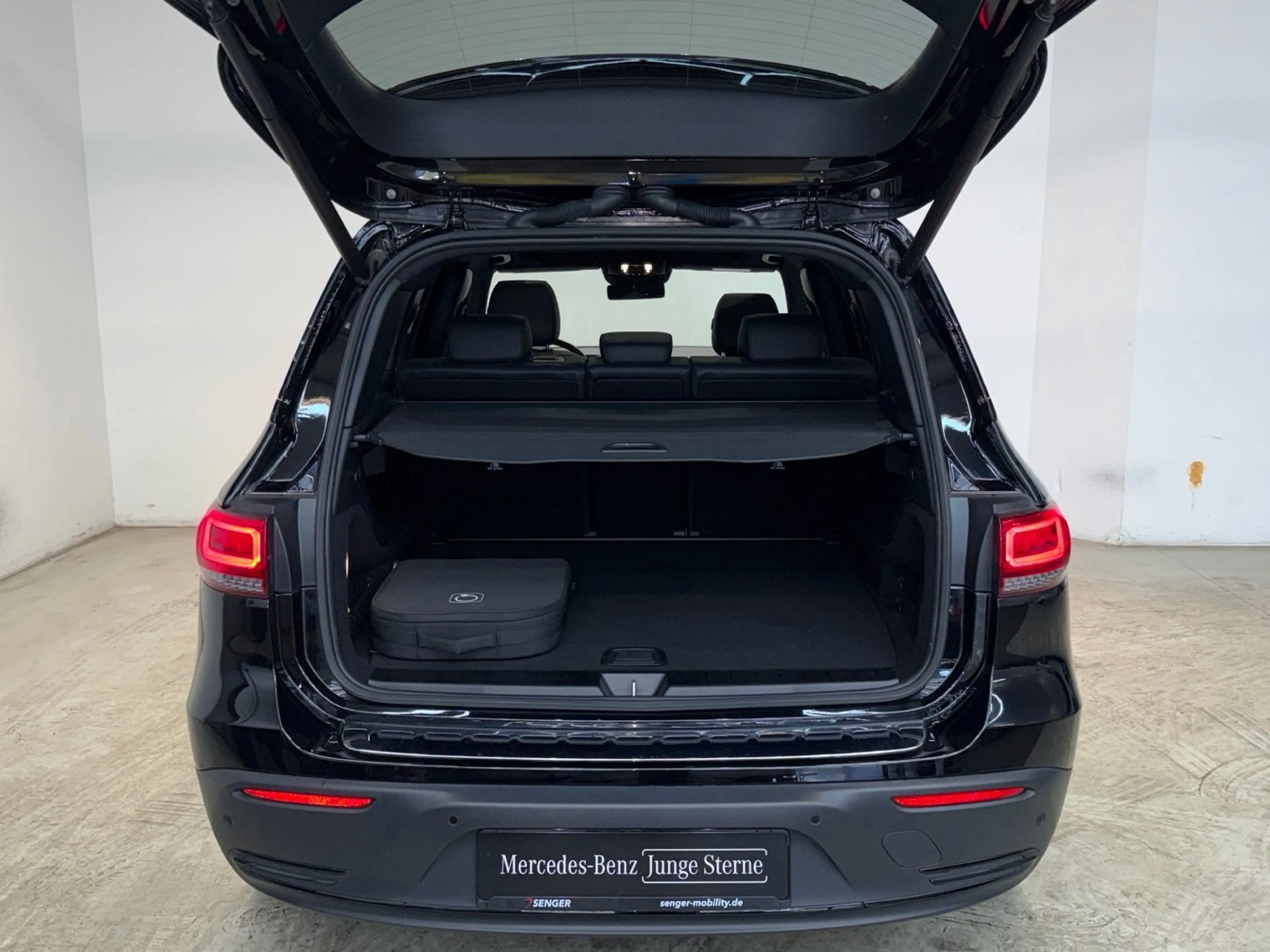 Mercedes-Benz EQB 250 Progressive Night Panorama Burmester LED — photo 15