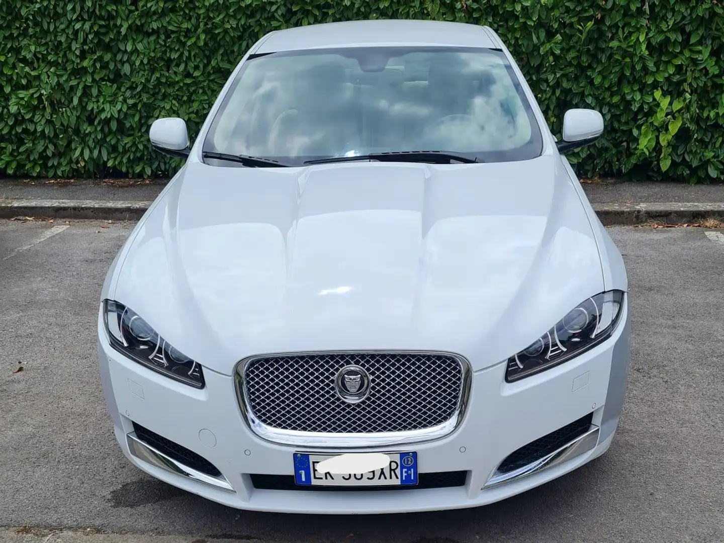 Jaguar XF XF 2.2d s Bianco - 1
