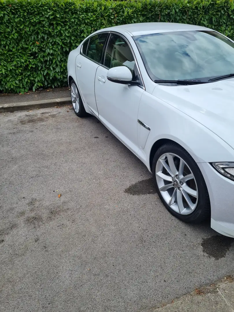 Jaguar XF XF 2.2d s Bianco - 2