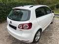 Volkswagen Golf Plus Golf Plus 1.6 TDI DPF Comfortline White - thumbnail 3
