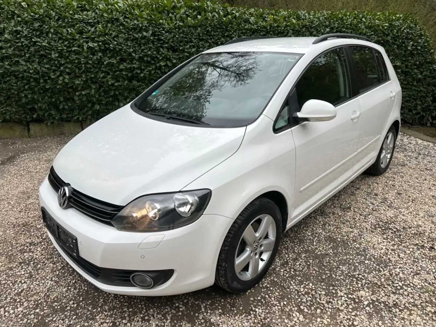 Volkswagen Golf Plus Golf Plus 1.6 TDI DPF Comfortline White - 1