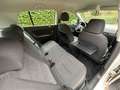 Volkswagen Golf Plus Golf Plus 1.6 TDI DPF Comfortline White - thumbnail 6