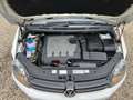 Volkswagen Golf Plus Golf Plus 1.6 TDI DPF Comfortline White - thumbnail 8