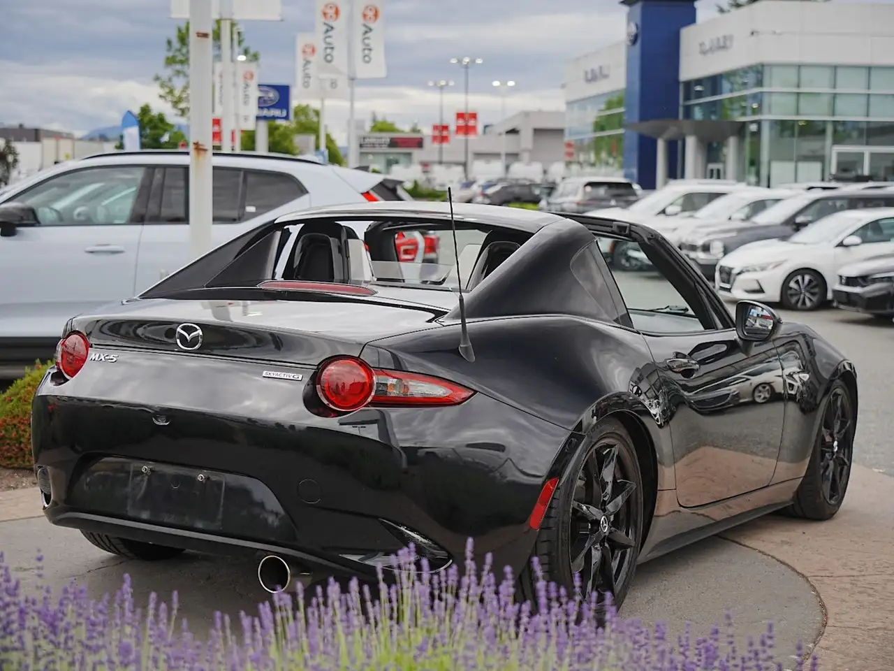 Mazda MX-5 Miata fotografie Mazda MX-5 Miata