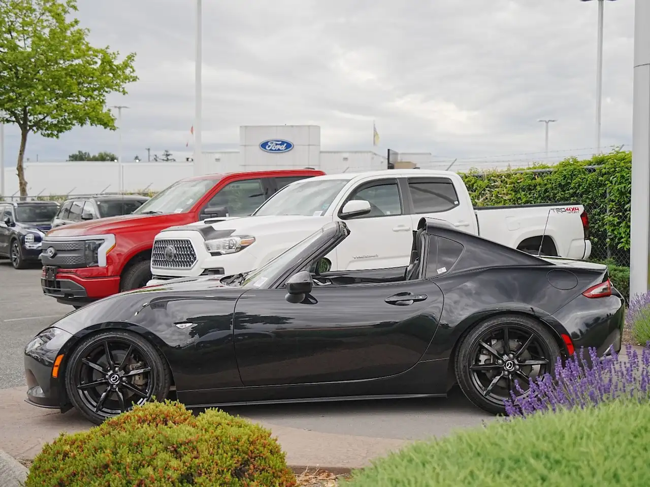 Mazda MX-5 Miata fotografie Mazda MX-5 Miata