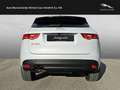 Jaguar F-Pace 20d AWD R-Sport nur Händler  / Export Blanco - thumbnail 8