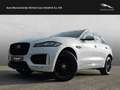 Jaguar F-Pace 20d AWD R-Sport nur Händler  / Export Blanco - thumbnail 1