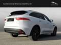 Jaguar F-Pace 20d AWD R-Sport nur Händler  / Export Weiß - thumbnail 3