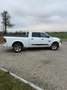 Dodge RAM Crew Cap-Big Horn/ AHK/Temp./ Ab 310 Euro im Monat Weiß - thumbnail 3